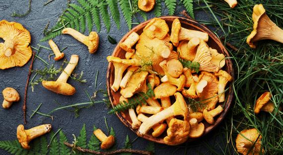 7 лучших рецептов лисичек на зиму, как сохранить вкус и аромат любимых грибов