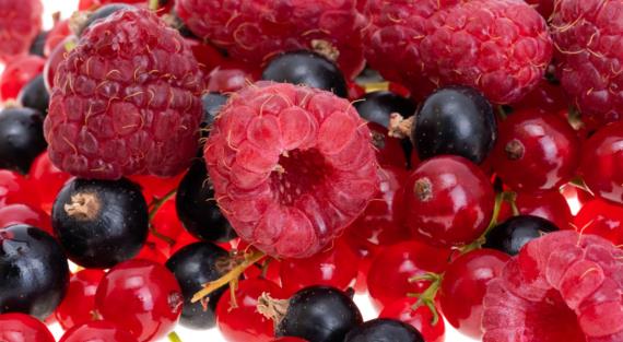 Малина или смородина: врач рассказала, какая ягода полезнее