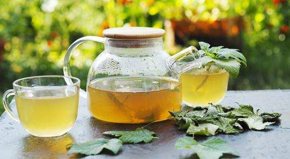 Чай из листьев малины и смородины, польза и вред, как их собирать и сушить